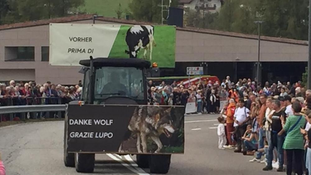 Tagesrückblick 5 Meldungen in 2 Minuten Chronik stol it