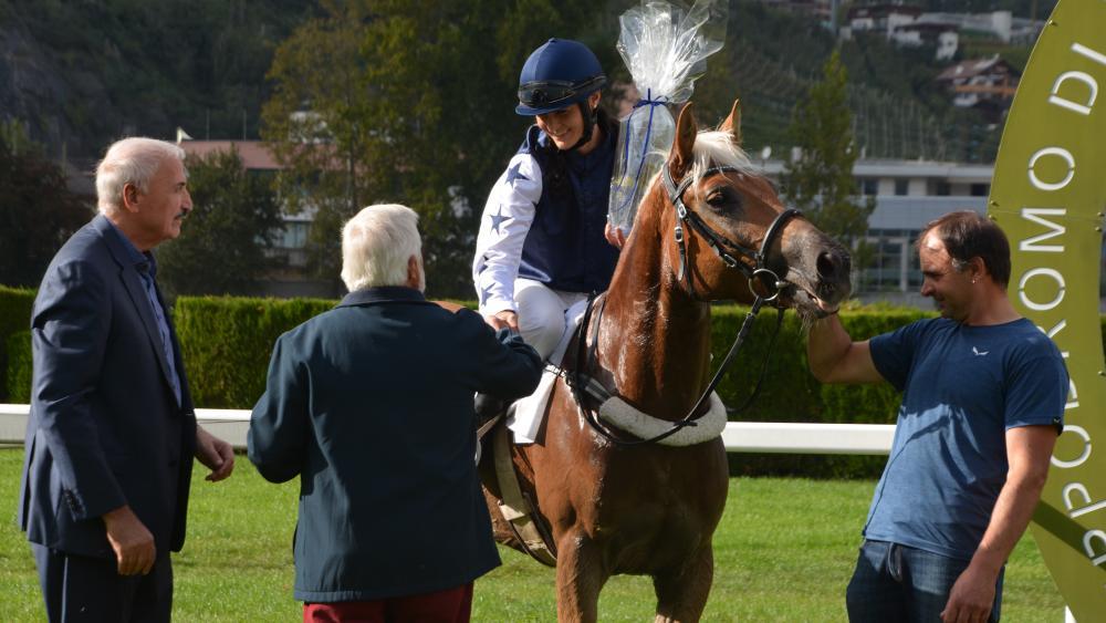 Haflinger Pferderennen Bizarra Hu Gewinnt K Nigsklasse In Meran