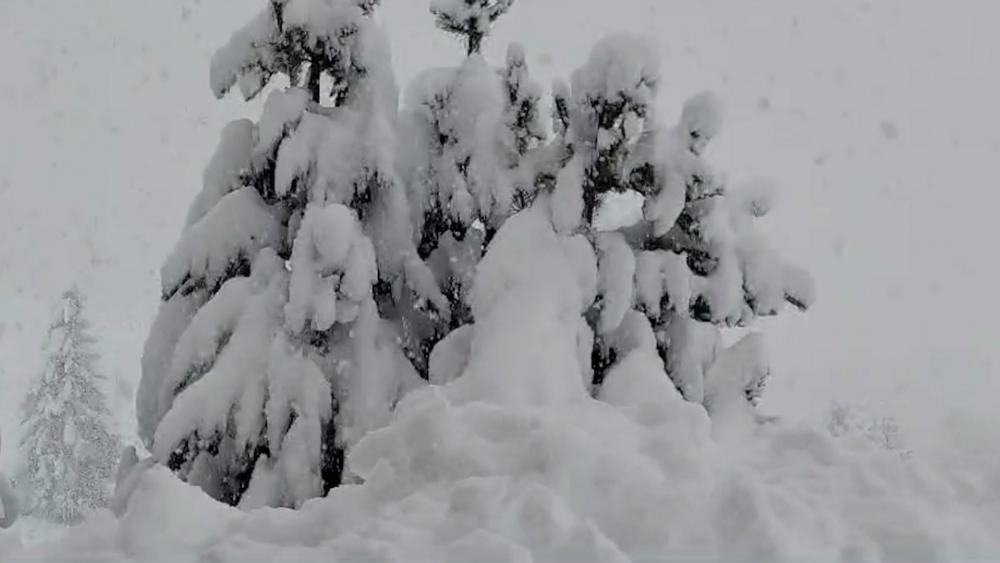 Der Winter ist zurück Halber Meter Neuschnee Videos stol it