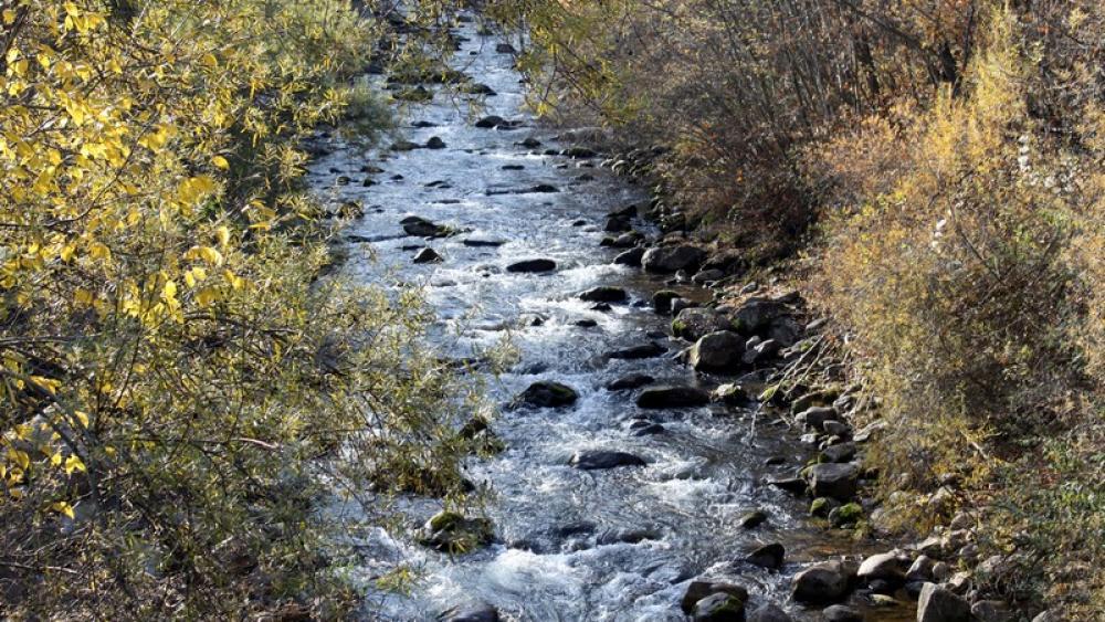 Falschauer gesichert, Naherholungszone gestaltet