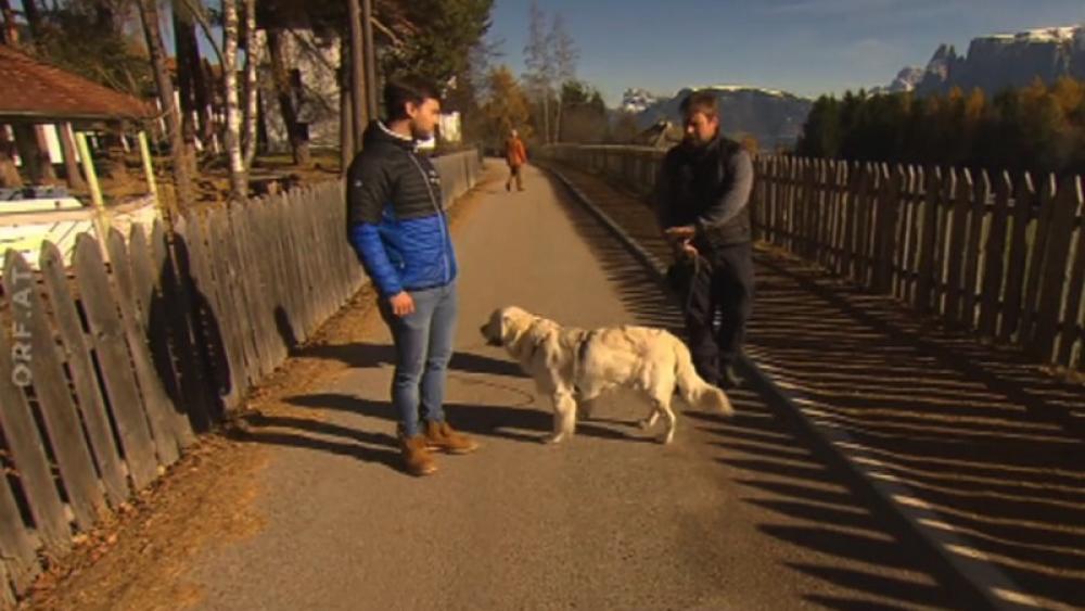 Kuschelpädagogik für Hunde VIDEO