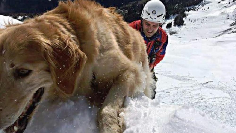 Bergretter befreien Hund aus eisigem Gelände