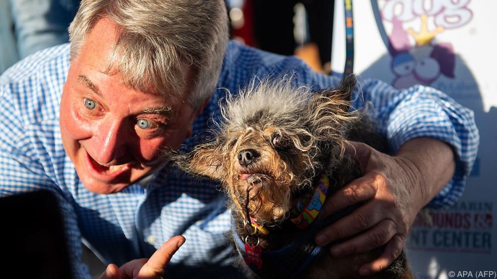 Mischling „Scamp the Tramp” ist hässlichster Hund der Welt