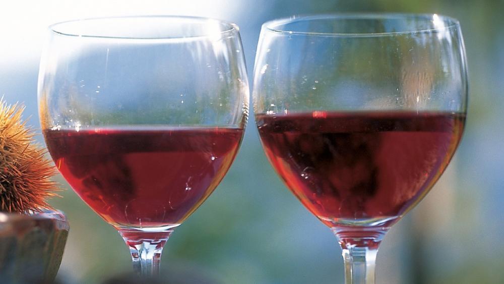 5 Vernatsch-Weine zum Verlieben und eine Weinkarte - Stol.it