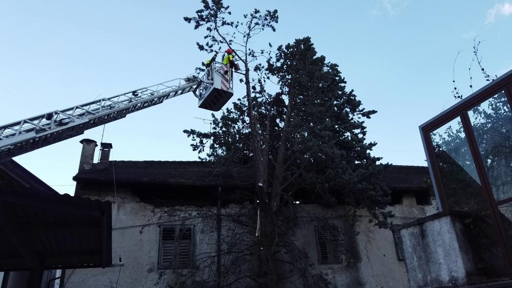 Lana Baum stürzt auf Haus