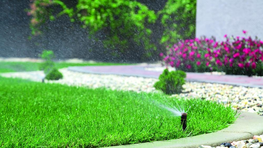 Spezial „Garten & Haustiere“