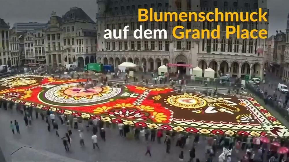  Blumenteppich in Brüssel 