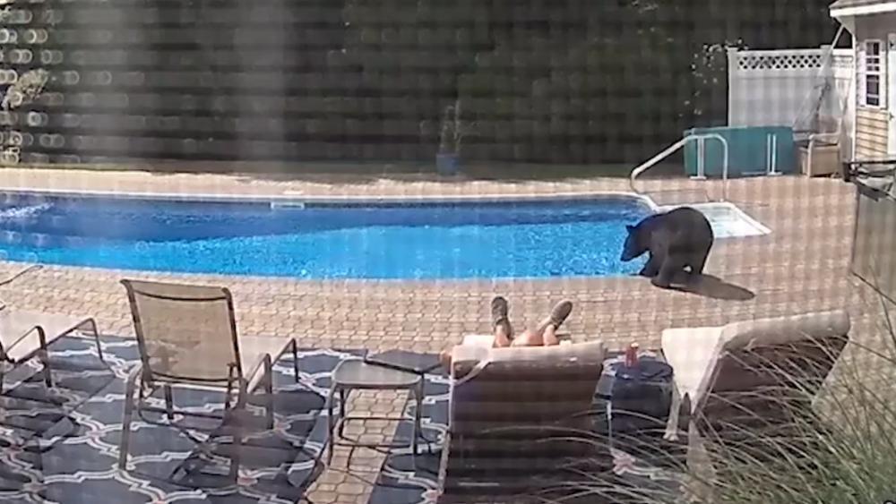 Die 10 Schnsten Spabder In Franken Schwimmbder Fr Die Die 10 Schnsten Spabder In Franken Schwimmbder Fr Die