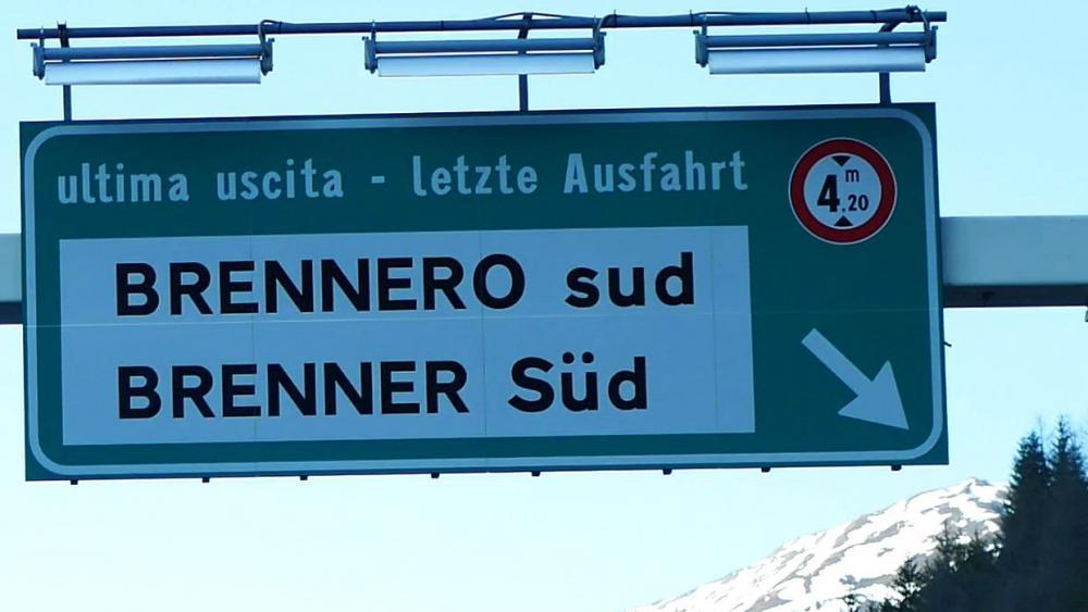 Panik In Spanien: Riesen Kakerlake Alarm! Was Urlauber Wissen Müssen! - 3y0ulq3