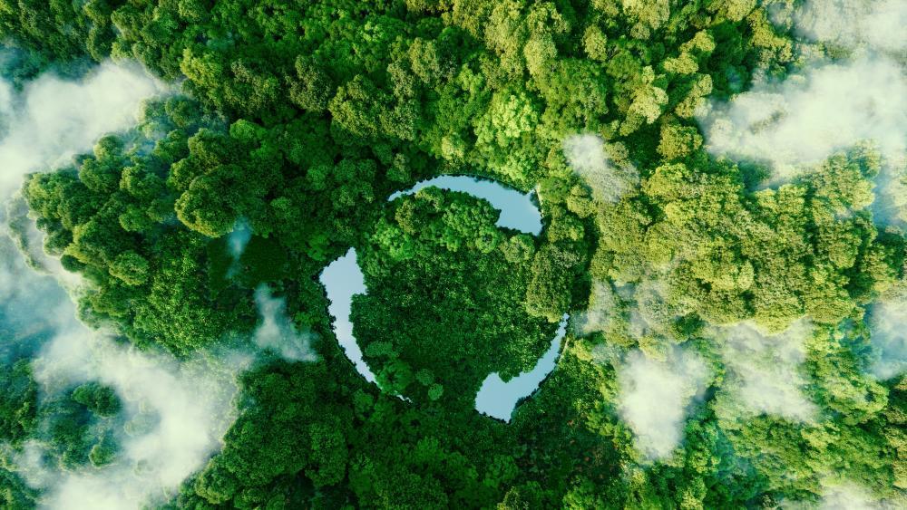 Everyday-for-Future-Wettbewerb-f-r-Kinder-und-Jugendliche