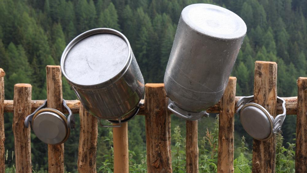 Milch Ins Feuer Sommer Auf Dem Bauernhof Exklusiv So Leben Bauern Wirklich - dli6fnq
