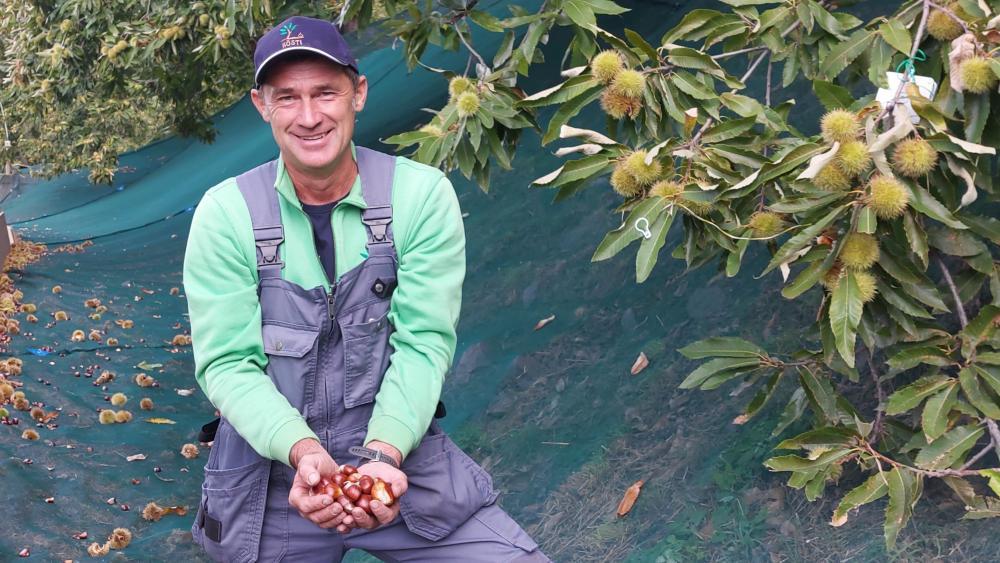 S-dtirols-vielleicht-bester-Keschtn-Kenner