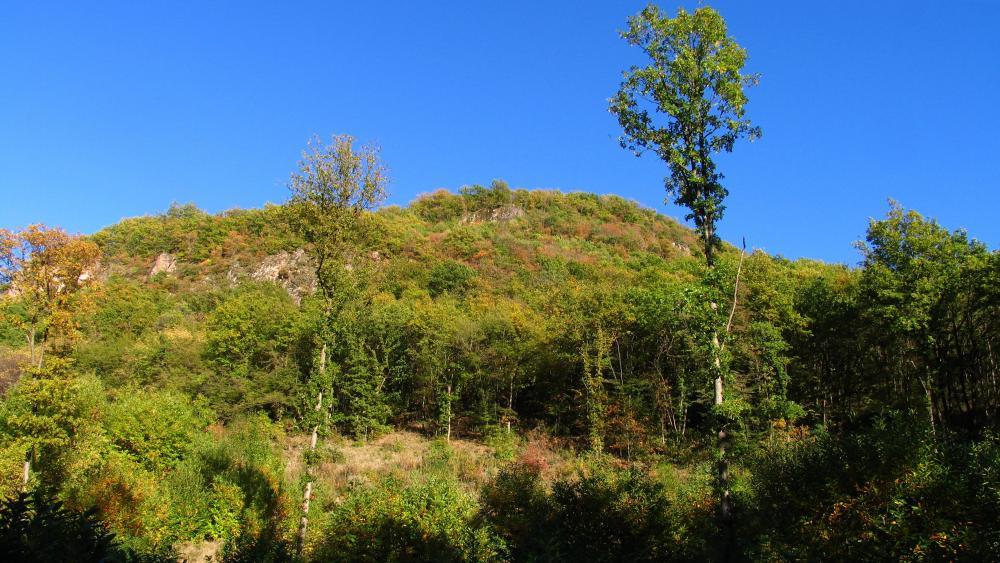 Zur Wallburg Hohenbühel bei Kaltern Panorama stol.it