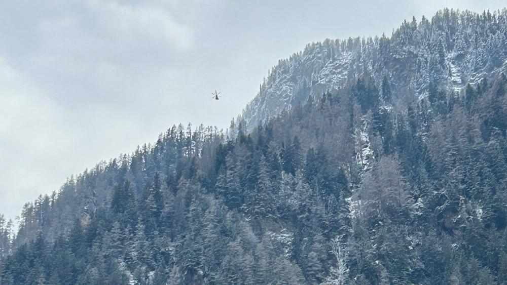 Weitental-70-j-hriger-Waldarbeiter-verungl-ckt