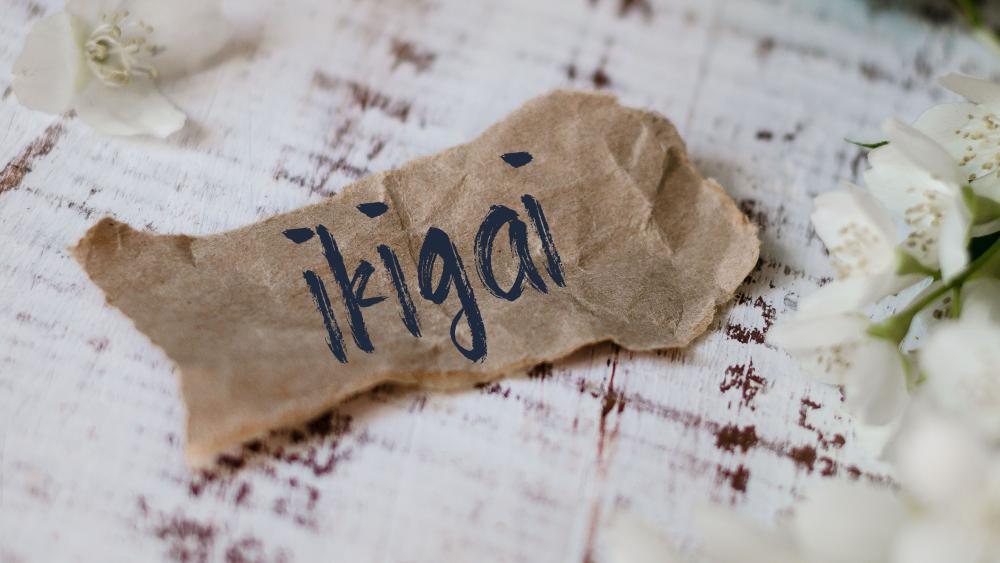 Das japanische Glückskonzept „Ikigai“ und was wir daraus lernen können