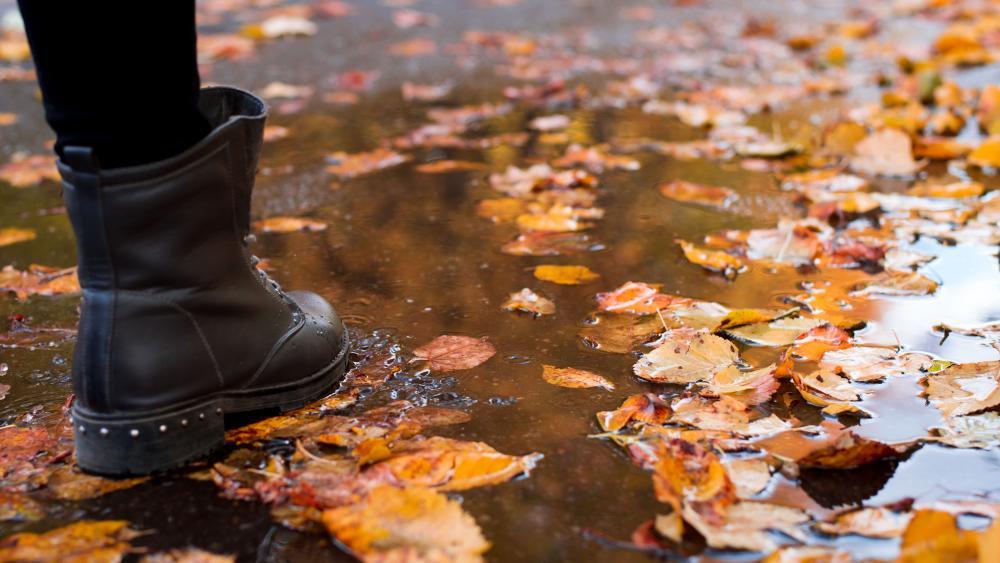 Wetter In S Dtirol Wann Kommt Der Goldene Oktober Chronik Stol It