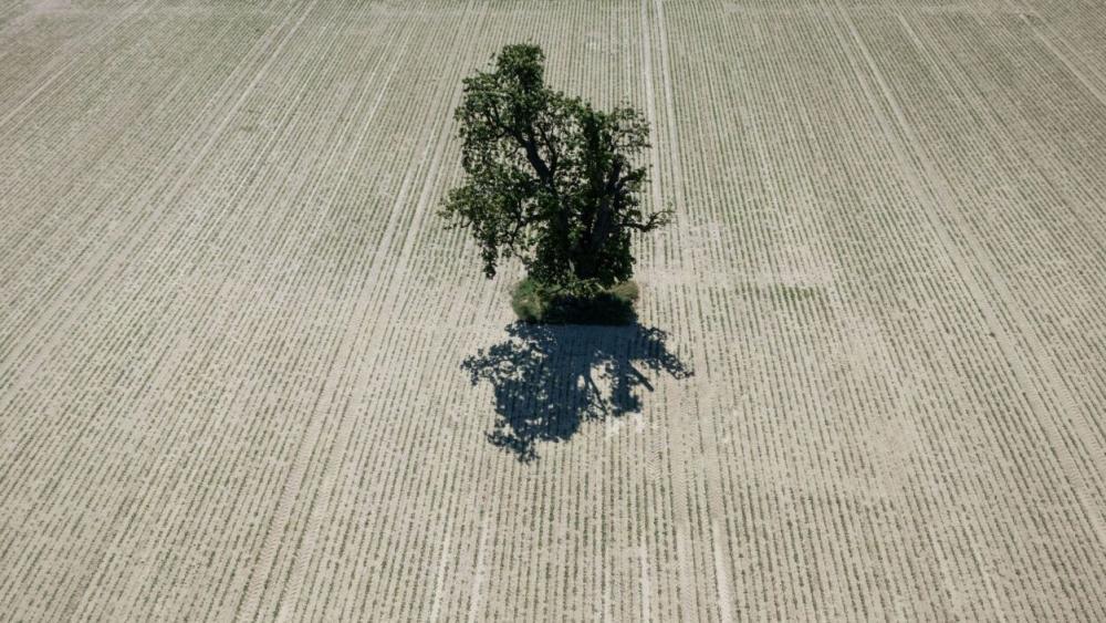 Klimabericht: Fast ganz Europa erlebte 2025 Extremwetter