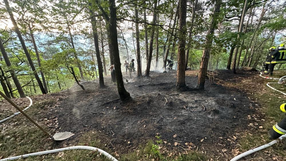 Waldbrand in Kaltern: Feuer am frühen Morgen ausgebrochen