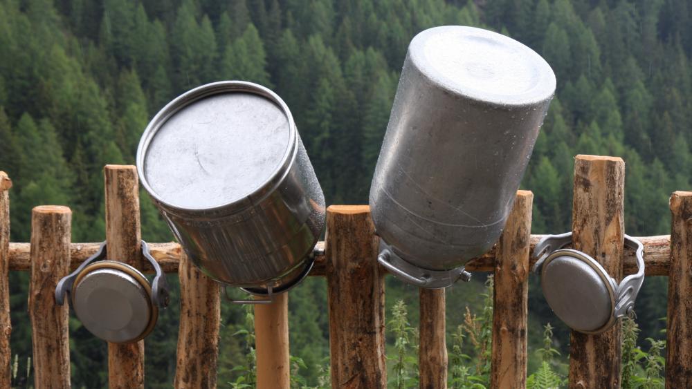 So geht es der Südtiroler Landwirtschaft