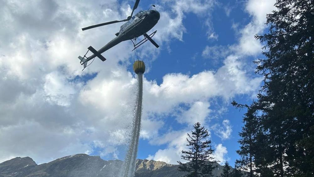 Ridnaun: Waldbrand auf rund 1.700 Metern Meereshöhe