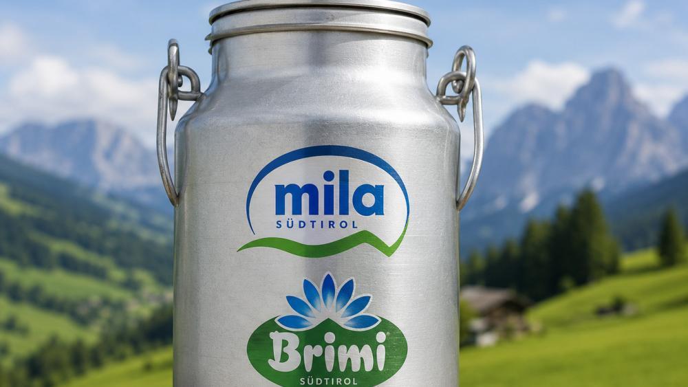 Reaktionen auf Mila-Brimi-Fusion:  „Das könnte schon zum Problem werden“