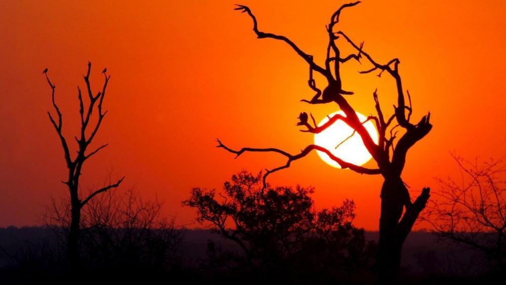 Mordermittlungen um zwei tote Safari-Touristen in Südafrika