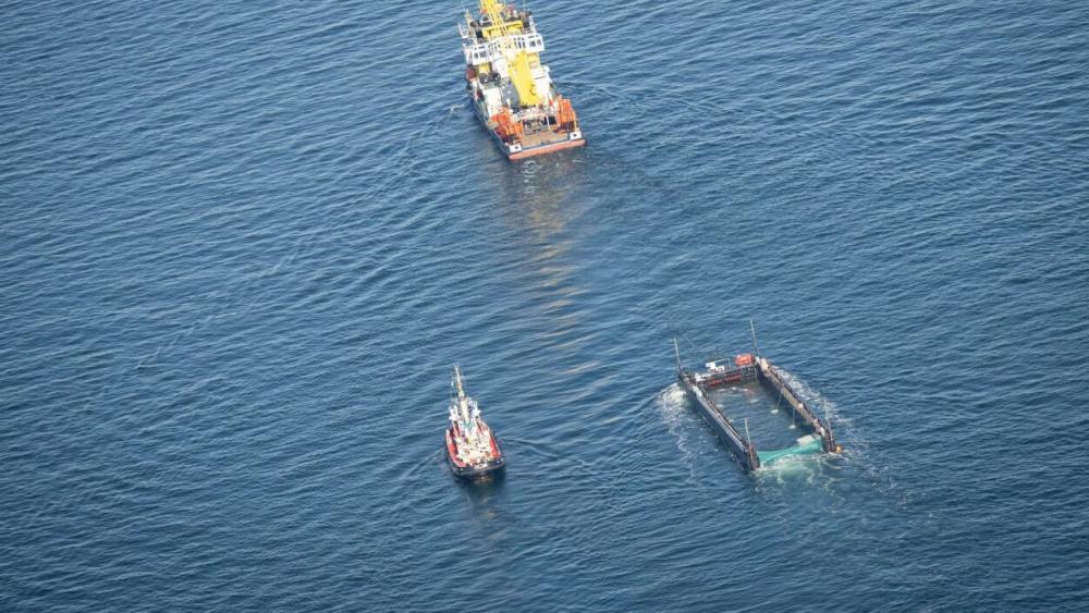 „Timmy“ ist frei: Buckelwal erfolgreich in der Nordsee ausgesetzt