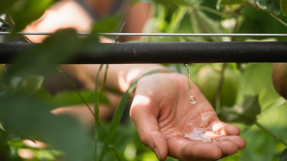 Landwirtschaft: Neue Wege gegen Wassermangel