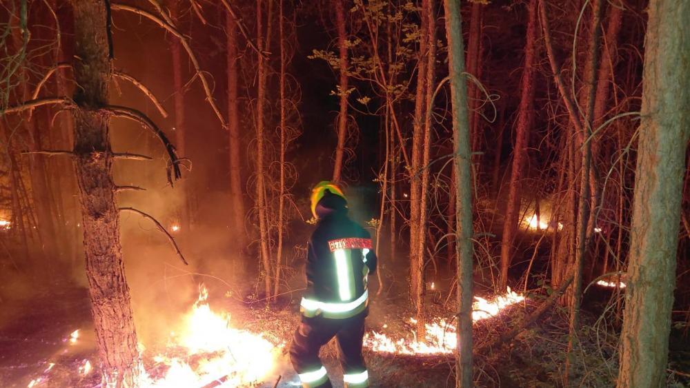 Nächtlicher Waldbrand zwischen Prad und Spondinig: Schlimmeres verhindert