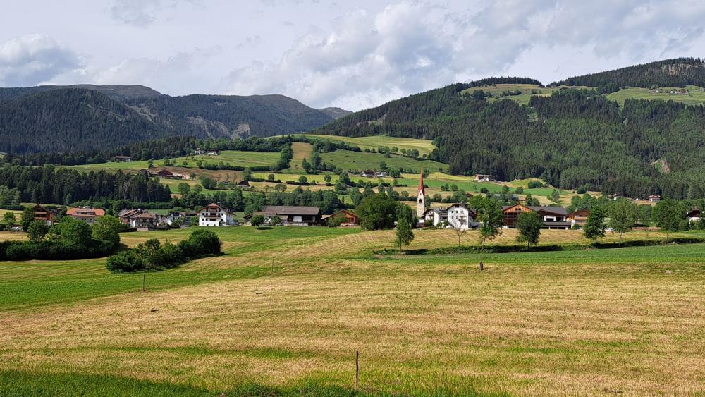 Alarm im Pustertal: Heuernte bricht um bis zu 80 Prozent ein