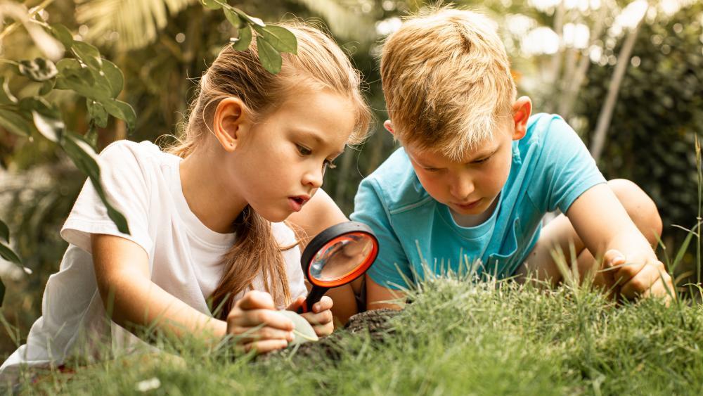 Kinder ergründen Umwelt: „Tut es Bäumen weh, wenn sie gefällt werden?“