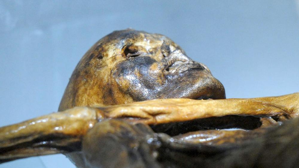 5.300 Jahre nach seinem Tod: Ötzis Mikrobiom noch aktiv