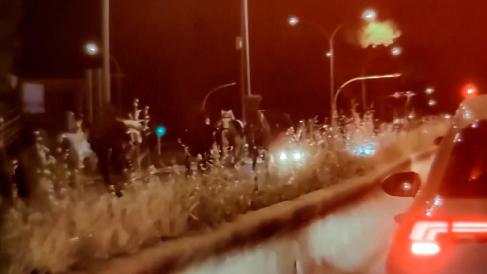 Verkehrschaos: Polizeipferde büxen aus