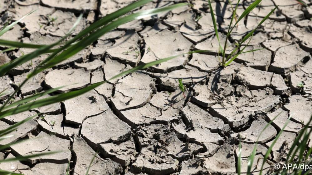 Neuer „Lancet“-Bericht: Klimakrise wird zum globalen Gesundheitsnotstand