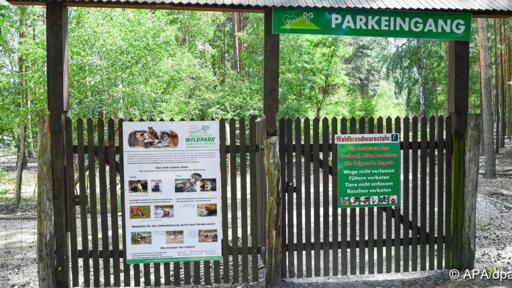 Mädchen in Wildpark von Tier schwer verletzt: War es ein Wolf?