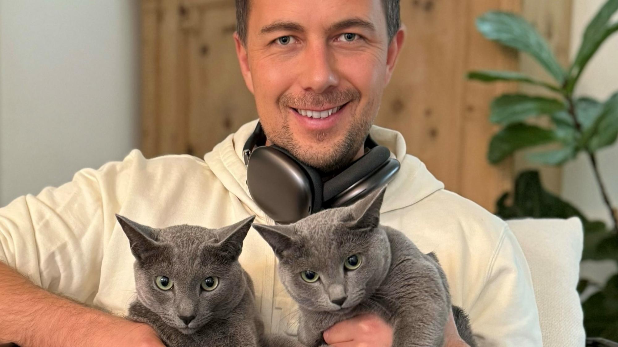 die-katzen-der-zaren-panorama-stol-it