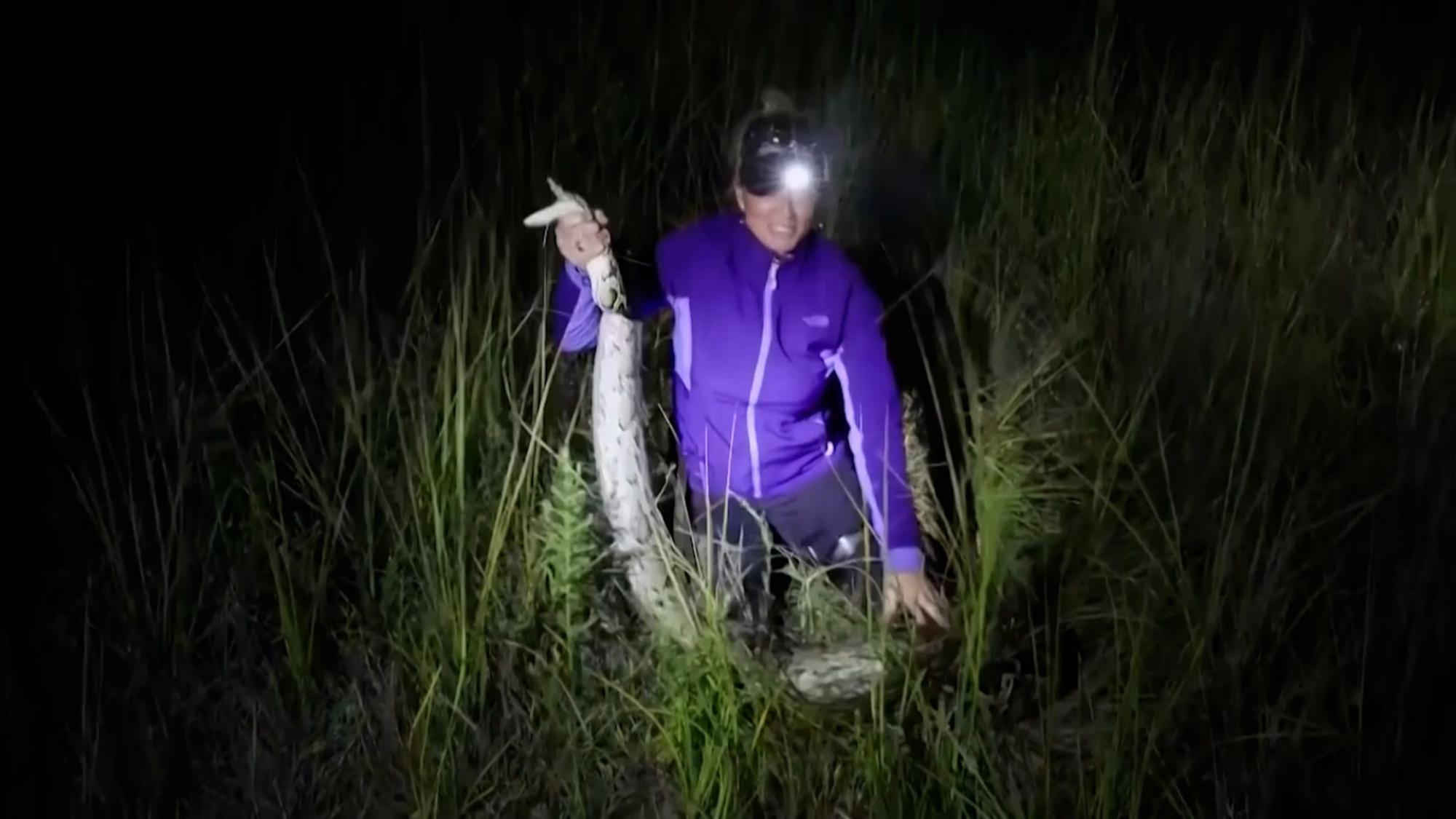Python Stol Florida: Auf Tour mit der Python-Jägerin - Videos | stol.it