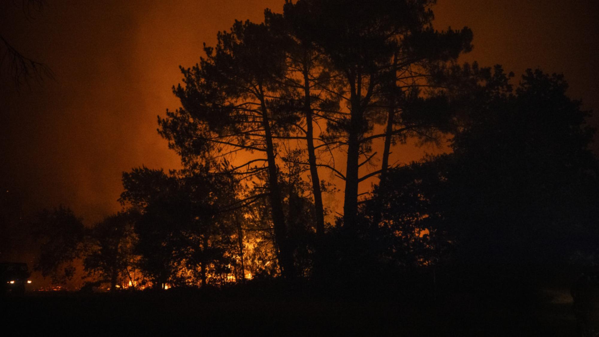 Waldbrände in Frankreich - Zehntausende evakuiert - Chronik | stol.it