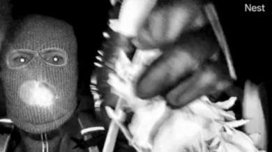 Millionenforderung und FBI-Ermittlungen: Der Vermisstenfall Nancy Guthrie