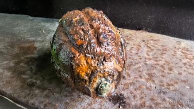 Handgranate auf Olympia-Parkplatz