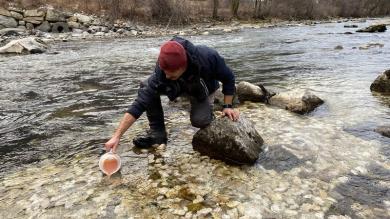 193.000 Eier für die Marmorierte Forelle