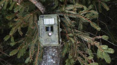 200 new camera traps for South Tyrol's forests