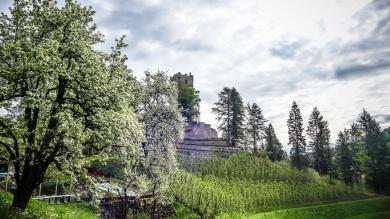 April-Wetter: Höchstwerte, Tiefstwerte und wie es im Mai weitergeht