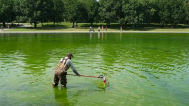 Von Trump renoviertes Wasserbecken erneut von Algen befallen