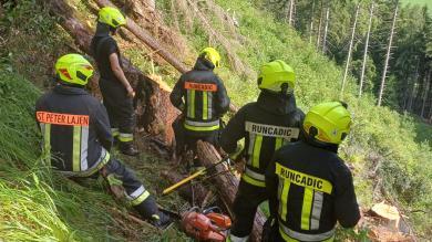 St. Peter im Tal: Blitz trifft Baum – Löschhubschrauber im Einsatz