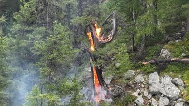 Blitz schlägt in Baum ein: Waldbrand in Latsch endet glimpflich