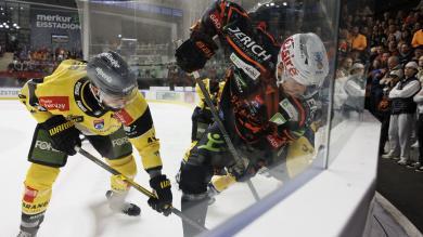 Mit Heimspielen: So starten Südtirols ICE-Teams