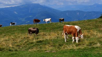 Pronunciation: No additional money for farmers