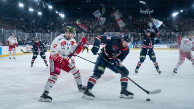 Milan célèbre le hockey sur glace – et Bolzano se réjouit