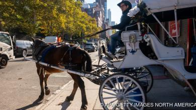 Aus für Pferdekutschen in New York